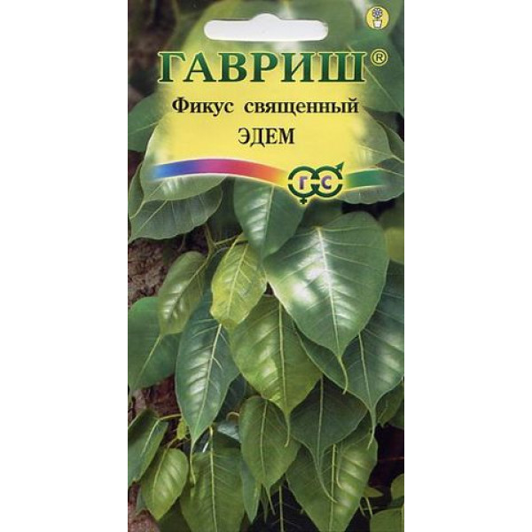 Фикус священный Эдем 0,03гр