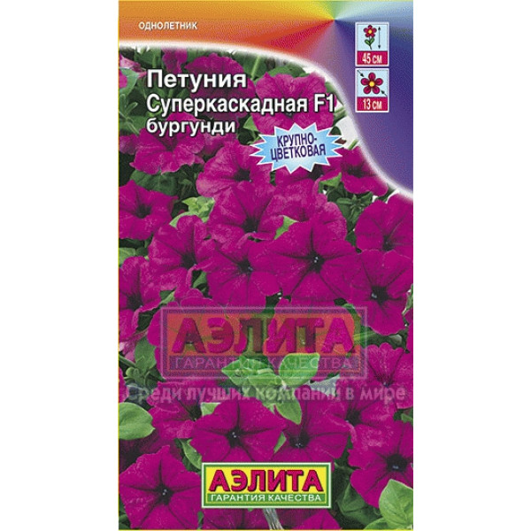 Петуния Суперкаскадная бургунди F1