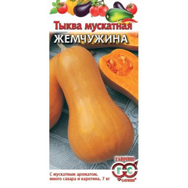 Тыква мускатная Жемчужина