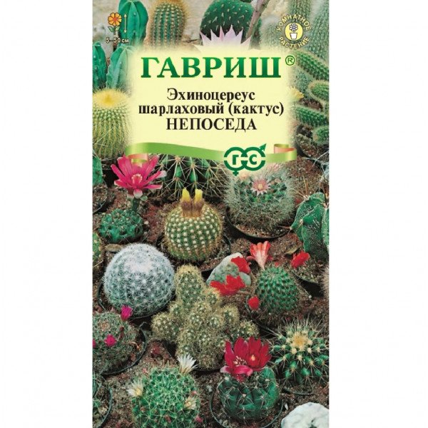 Эхиноцереус (Кактус) Непоседа смесь  0,05гр/10