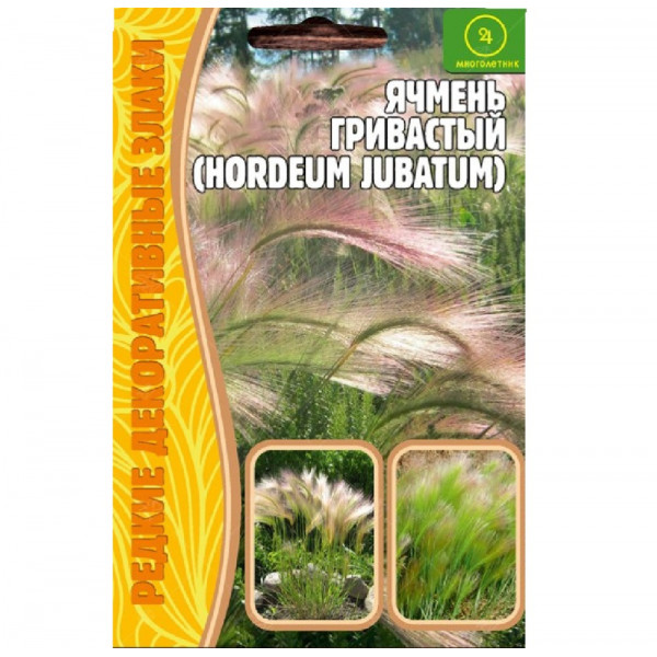 Ячмень гривастый Hordeum Jubatum   0,1гр